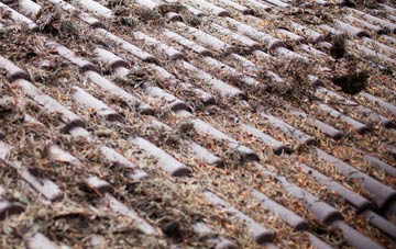 Gunby roof cleaning companies