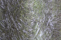 Gunby fibreglass roof work